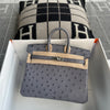 BIRKIN 25 OSTRICH LEATHER GRIS AGATE WITH PALLADIUM HARDWARE (PHW)