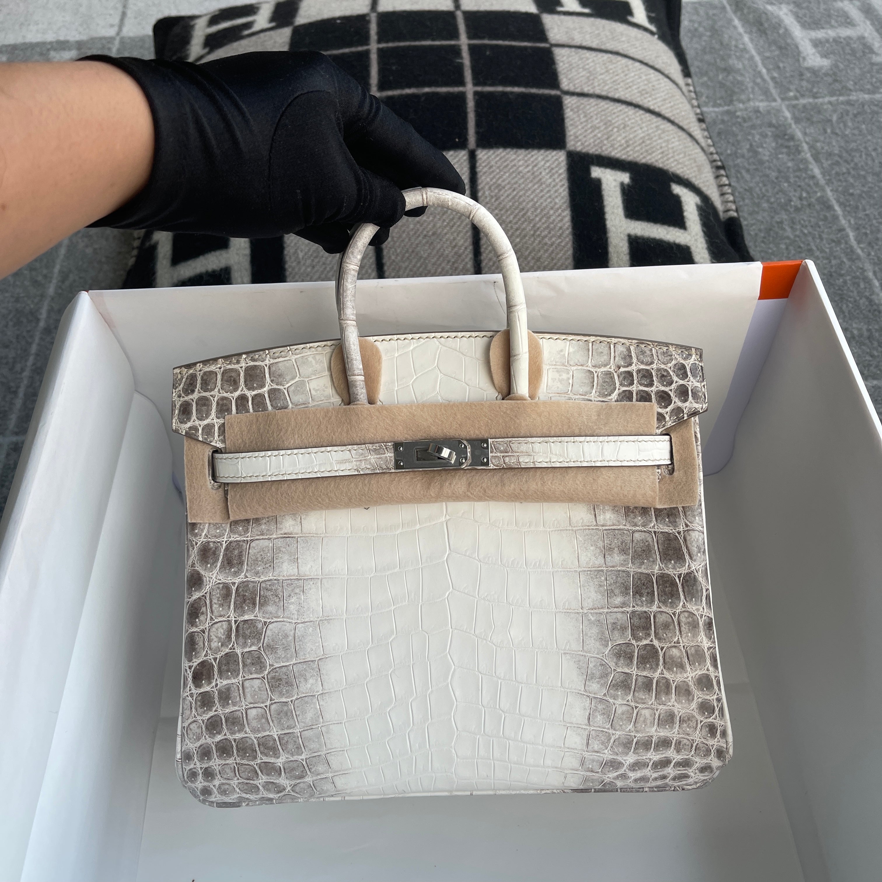 BIRKIN 25 MATTE NILOTICUS CROCODILE LEATHER HIMALAYA WITH PALLADIUM HARDWARE (PHW)