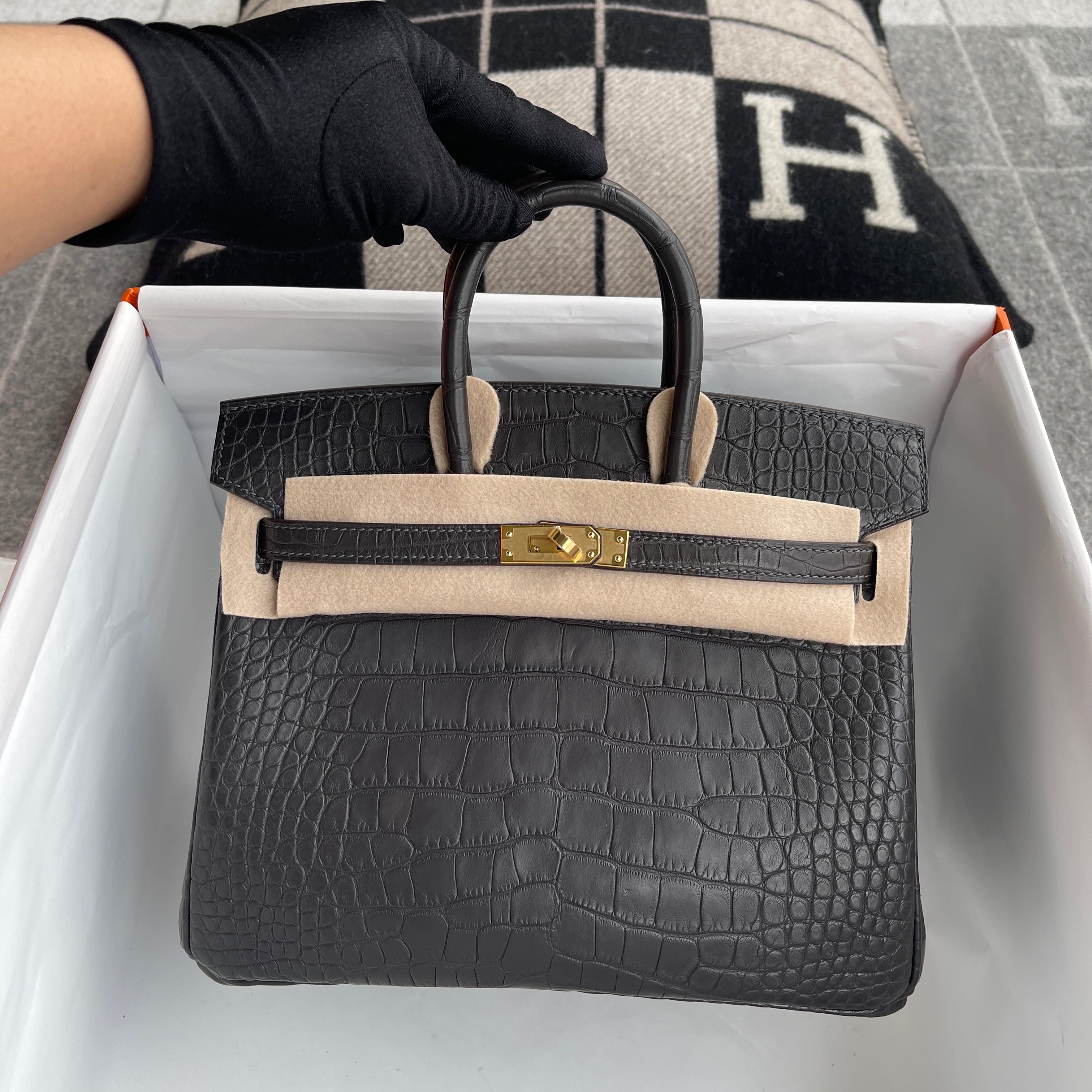 BIRKIN 25 MATTE MISSISSIPPIENSIS ALLIGATOR LEATHER NOIR WITH GOLD HARDWARE (GHW)