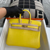 BIRKIN 25 MATTE MISSISSIPPIENSIS ALLIGATOR LEATHER MIMOSA WITH GOLD HARDWARE (GHW)