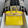 BIRKIN 25 MATTE MISSISSIPPIENSIS ALLIGATOR LEATHER MIMOSA WITH GOLD HARDWARE (GHW)