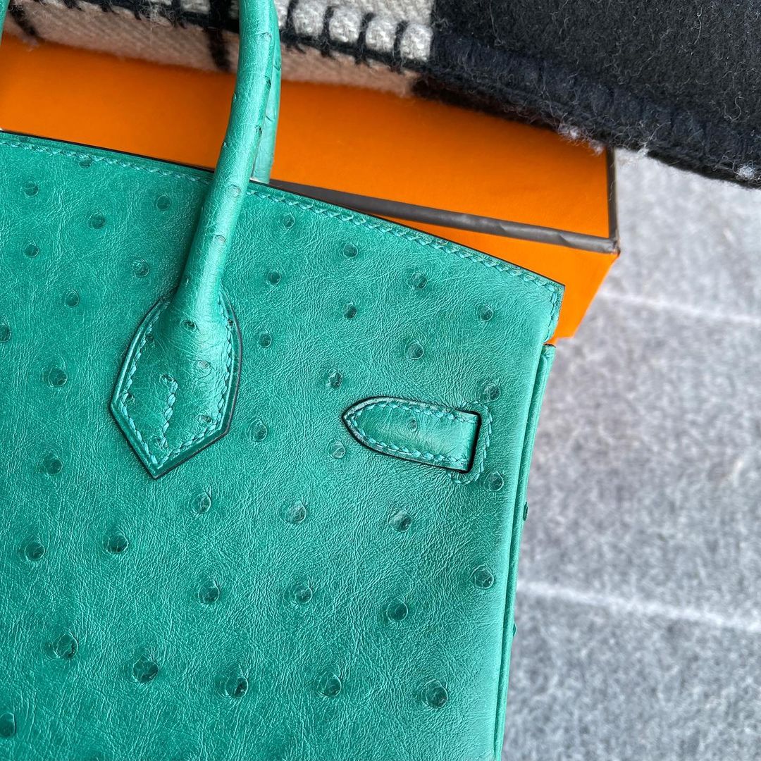 BIRKIN 25 OSTRICH LEATHER VERT VERTIGO WITH GOLD HARDWARE (GHW)