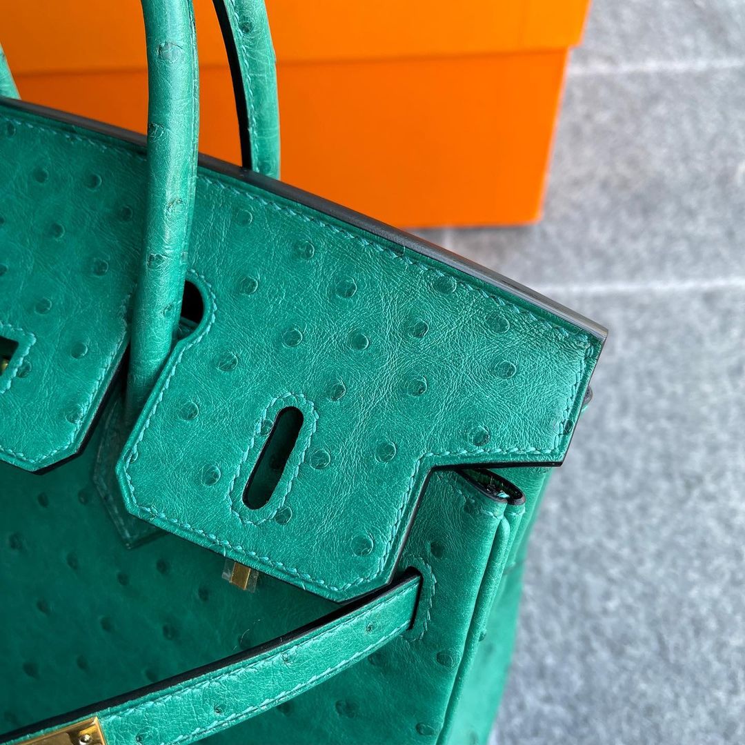 BIRKIN 25 OSTRICH LEATHER VERT VERTIGO WITH GOLD HARDWARE (GHW)