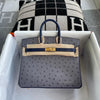 BIRKIN 25 OSTRICH LEATHER HSS BI-COLOR GRIS AGATE AND BLEU IRIS GOLD HARDWARE (GHW)