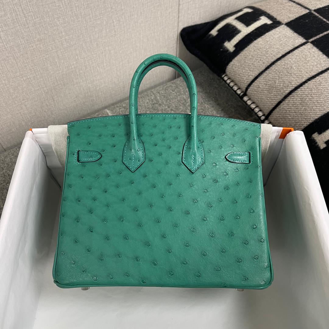 BIRKIN 25 OSTRICH LEATHER VERT VERTIGO WITH PALLADIUM HARDWARE (PHW)